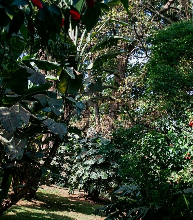 gradinar peisagist gradinar peisagist